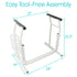 Stand Alone Toilet Rail